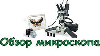 Microscope MBS-10 microscope Overview for IO Queen bees