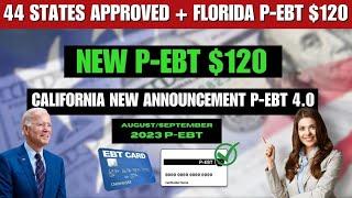 New 2023 Summer P-EBT UpdateAugustNew Announcement P-EBT 4.0 Florida P-EBT $120 #pebt #snap