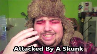 Attacked By A Skunk Stinky