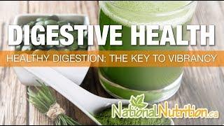 Digestive Health - Healthy Digestion Tips - Improve Digestive System  Natural Health Reviews Canada