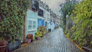 London Rain Walk in Upmarket Kensington & Chelsea - Mews Grand Houses & Holland Park - 4K 60FPS