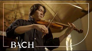 Bach - Violin Partita no. 2 in D minor BWV 1004 - Sato  Netherlands Bach Society