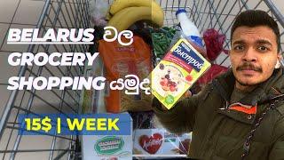 Grocery shopping in Belarus  Vitebsk  සිංහල vlog  Medical student life