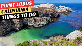 The 9 BEST Things To Do In Point Lobos State Natural Reserve & 1 Thing NOT To Do