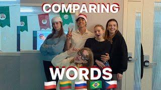 Иностранцы сравнивают слова на своих родных языках  Comparing foreign languages