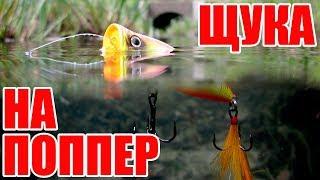 How to catch a pike on a popper?
