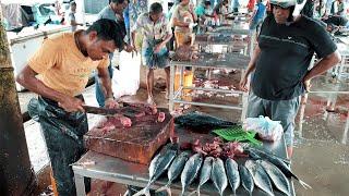 Fastest Tuna Fish Cutting Skills  Fish Cutting Sri Lanka @FishCuttingYT