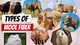 Different Types of wool fiber