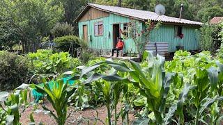 VIVER NESTE LUGAR É MORAR NO PARAISO - JUCA LEÃO