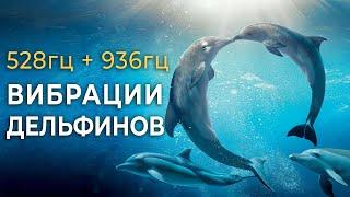 528гц + 936гц Исцеляющее Пение Дельфинов для Восстановления Энергии Снятия Стресса и Глубокого Сна