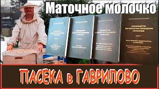 Маточное молочко в конце зимы. Пасека в Гаврилово -  Оздоровительное путешествие за молочком.