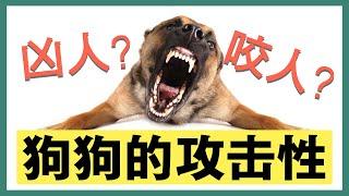 【科学干货】狗为什么咬人？专业训犬师全面解答攻击性的来源