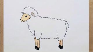 Sheep Drawing Easy  How To Draw A Sheep Easy Step By Step