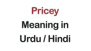 Pricey meaning in UrduHindi  English Vocabulary