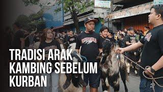 Tradisi Ajak Kambing Jalan-Jalan Keliling Kampung di Malang