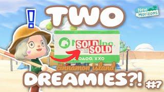 We found TWO DREAMIES?  Lets villager hunt  Cinnamon Island Lets Play #7