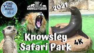 Knowsley Safari Park  Foot Safari and Drive Safari Full Tour