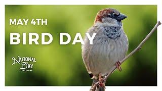 Bird Day  May 4th - National Day Calendar