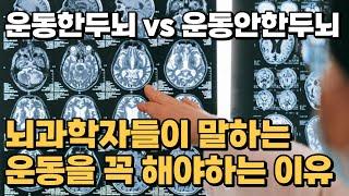 머리 좋아지는 가장 간단한 방법-운동을해야하는이유ㅣ뇌과학에서의운동ㅣ멘탈강해지기ㅣ운동의장점