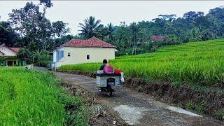 Yakin Betah‼️ tinggal di sini mah Kampung subur Makmur di ujung utara Ciamis Damai tenang 