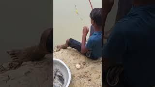 amazing fish catching #shorts #viralshorts #fish #fishing #amazingfish #trendingshorts