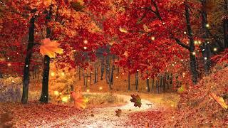 Autumn Forest Ambience Music by Adrian von Ziegler - Autumn Forest Relaxing Celtic Music