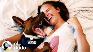 Perro rescatado sabe exactamente cómo consolar a su persona favorita  Almas Gemelas  El Dodo