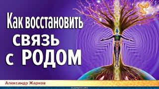 Как восстановить связь с РОДОМ. Александр Жарков