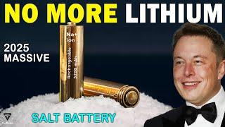 Finally Happened Elon Musk Unveiled 2025 Sodium Ion Battery Is Officially Produced in Massive