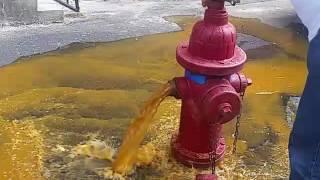 Hydrant Flush before gauge