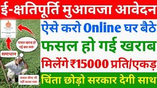 ई-क्षतिपूर्ति फसल मुआवजे के लिए आवेदन कैसे करें  ₹15000 Fasal Muaawja Kaise milega  Muaawja Apply