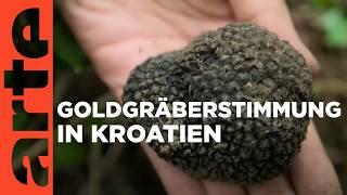 Kroatien das Paradies der Trüffeljäger  GEO Reportage  Doku HD  ARTE