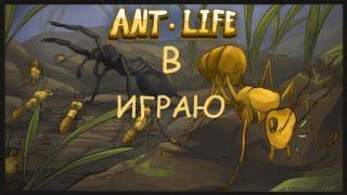 Я играю в игру роблокс на карте Ant Life бета тестирование