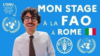 MON STAGE À LA FAO À ROME lOrganisation des Nations unies pour lalimentation et lagriculture