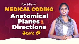 Medical Coding  Anatomical Planes & Directions in Telugu