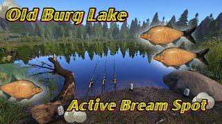 Russian Fishing 4 --RF4-- Old Burg Lake-- Active spot Bream