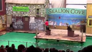 Sea Lion Show @ Knowsley Safari Park 8th April 2012
