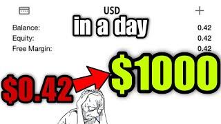 i raised $0.42 into $1000 in a day #giveaways