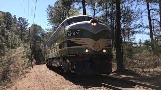 Spring Train Stone Mountain Park