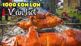 Việt Food  1000 Con Lợn Quay Một Ngày vẫn hết