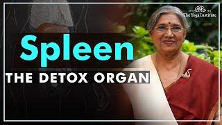 Know how to take care of your spleen  Dr. Hansaji Yogendra