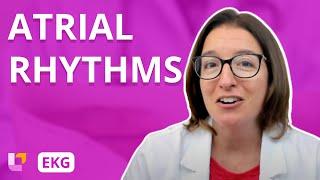 Atrial Rhythms - EKG Interpretation  @LevelUpRN