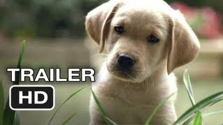 Quill The Life of a Guide Dog Official Trailer #1 2012 HD Movie