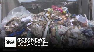 Plastic bag ban bill moves forward in Californias state Senate and Assembly
