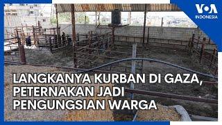 Iduladha di Gaza Kami Kurbankan Diri Sendiri