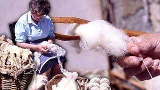 Sheep wool to create threads and balls. Traditional shearing carding and spinning technique