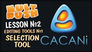 CACANi 2 Lesson №2 - Editing Tools №1 Selection Tool ENG Subtitles