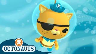 Octonauts - The Leatherback Sea Turtle  Full Episode 14  Cartoons for Kids