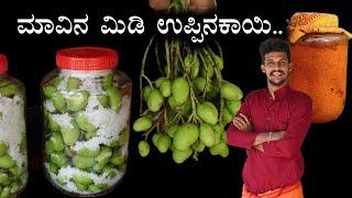 5 kg Midi uppinakaayi  PICKLE KING..  With measurements  Tender mango pickle recipe  pickle