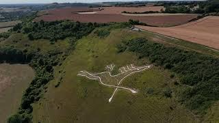 Folkestone White Horse